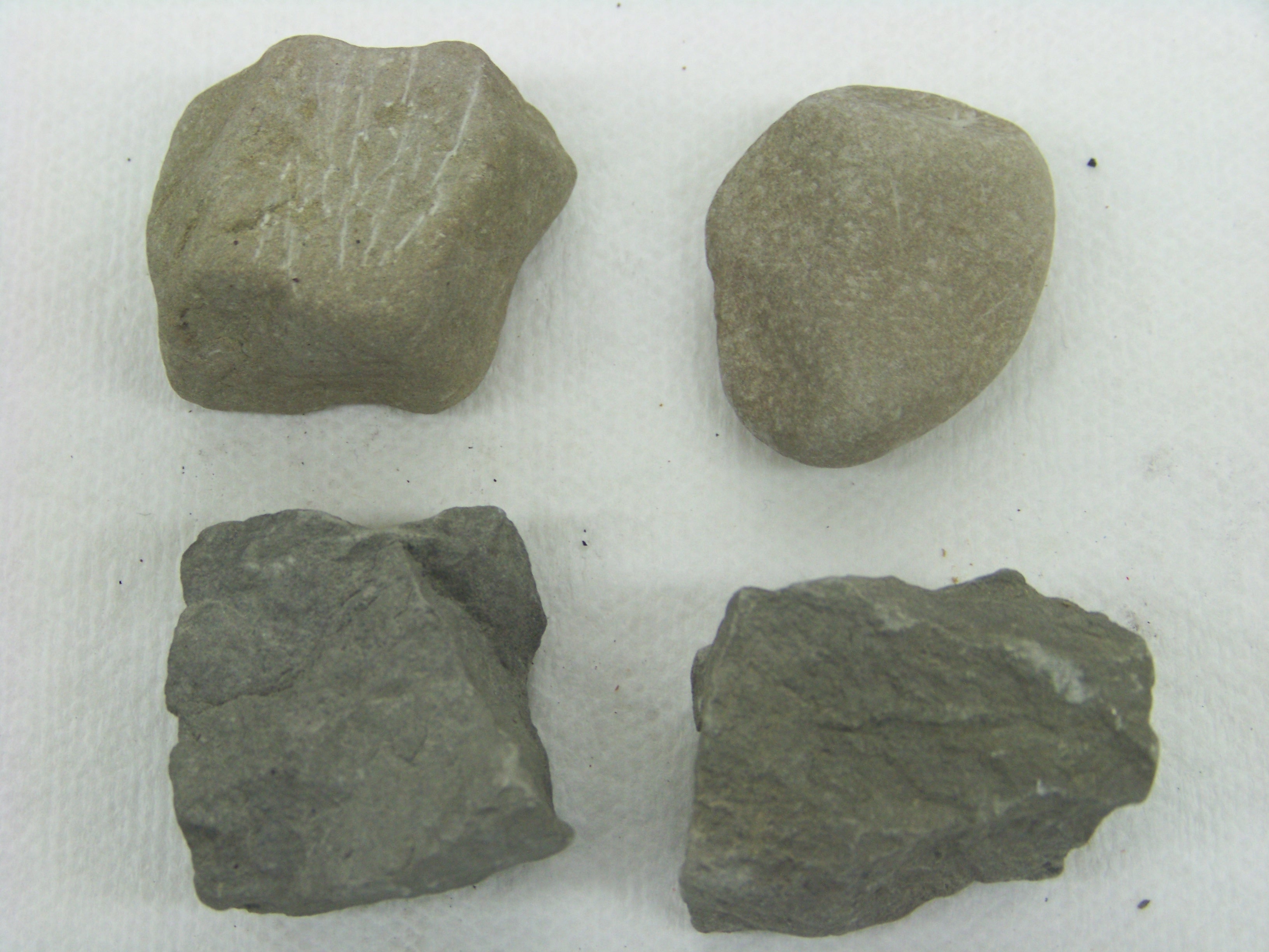 Sedimentary Roc...
