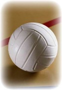 Section feature image